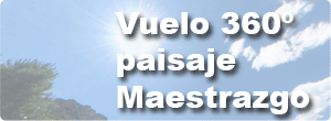 Vuelo virtual