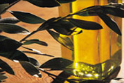 Aceite