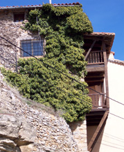 Allepuz