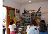 Museo de Galve